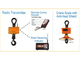 crane-scale