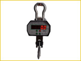 Crane Weighing Scale