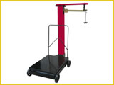 Manual Platform Weighing Scale